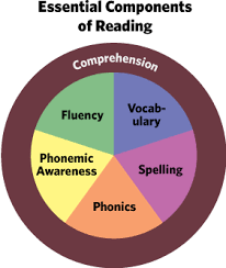 English Elective 7